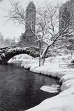 Alfred Eisenstaedt, Central Park after a snowstorm, New York