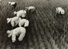 Field Workers, Korea by Dorothea Lange, 1958, Gelatin silver print, sold Oct 2022