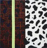 Vaughn Spann, Dalmatian (No. 3)