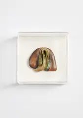 Untitled (Single Gum Sculpture) by Hannah Wilke, 1978, chewing gum on board, in artist's Plexiglas box, sold Mar 2021
