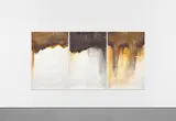 Thiago Rocha Pitta, Tres Nuvens De Lama (Three Mud Clouds), 2011, tempera on fabric, in 3 parts