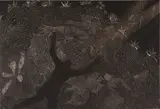 Belkis Ayón, Limbo
