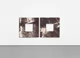 Sterling Ruby, Soft Vortex Diptych 1
