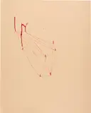 Sterling Ruby, Mapping