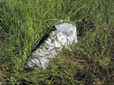 Jordan Wolfson, Untitled, 2009, digital print mounted to aluminum