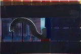 Juan Uslé, Untitled, 1994, dispersion, vinyl and pigment on canvas