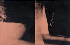 Andy Warhol, Shadow (Double), 1978, synthetic polymer and silkscreen ink on canvas