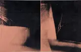 Shadow (Double) by Andy Warhol, 1978, synthetic polymer and silkscreen ink on canvas, sold Jun 2021