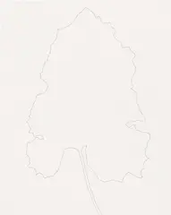 Burdock by Ellsworth Kelly, 1969, ink on paper, sold Jun 2021
