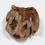 Ursula von Rydingsvard, Droga, 2002, graphite and chalk on cedar