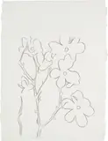 Andy Warhol, Flowers, 1980, graphite on HMP paper