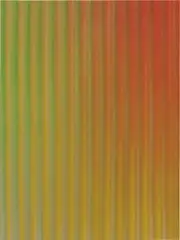 Tauba Auerbach, Corrugation III, 2011, acrylic on canvas