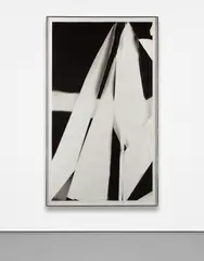Fold (70 degree directional light source), December 21st by Walead Beshty, 2007, black and white fiber-based photographic paper, offered Jun 2021