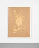 Pamela Rosenkranz, Avoid Contact (Discharge Shadow), 2011, acrylic on spandex, in artist's frame
