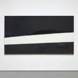 Suzan Frecon, Dark and Light (with Homage to Manet)