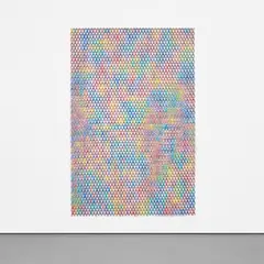 Do Ho Suh, Screen, 2005, plastic ABS and stainless steel