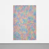 Do Ho Suh, Screen, 2005, plastic ABS and stainless steel