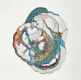 Sonia Gomes, Untitled from the series Risco do Tempo, 2013, marker and thread on canvas, textile and paper collage