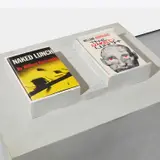 Richard Prince, American/English (Naked Lunch), 2006, 2 books in a Bondo, acrylic and wood case, on an acrylic and wood base