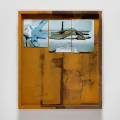 She is Dead 3 by Rosemarie Trockel, 2007, oil, 3 chromogenic prints and staples on wood, under Plexiglas, sold Sep 2021