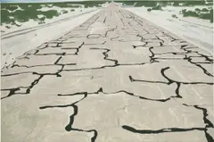 Koen van den Broek, 1000 Cracks, 2004, oil on canvas