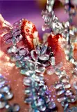 Marilyn Minter, Blue Shower