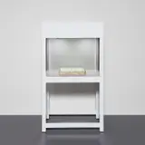 Michal Rovner, Zalach 1, 2004, steel vitrine with glass, stone and DVD video projection