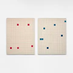 Matt Connors, The Lining and The Understudy, 2012, acrylic and colored pencil on canvas, in 2 parts