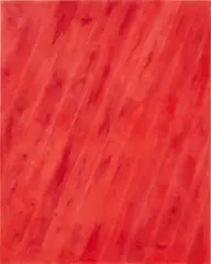 Matt Connors, RED LEFT, 2011, oil and pencil on canvas