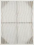 Hugh Scott-Douglas, Untitled #3, 2011, gesso on laser-cut canvas