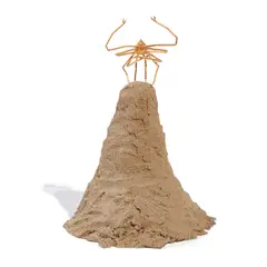 Matt Johnson, Buddha Crab, 2006, 24 karat gold plated bronze, sand and epoxy