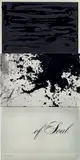 Lorna Simpson, Three Part Soul
