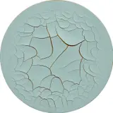 Adriana Varejão, Monocromo Celadon Redondo, 2015, oil and plaster on canvas