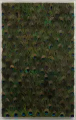Untitled by Carol Bove, 2011, peacock feathers on linen in Plexiglas box, sold Nov 2021