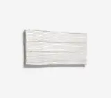 Rosemarie Trockel, White Like Me 2