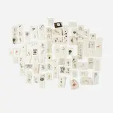 Jim Hodges, A Diary of Flowers (Close)