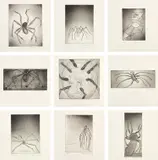 Louise Bourgeois, Ode à Ma Mère (Ode to My Mother) (MoMA 4b-12b), 1995, The complete set of nine drypoints, eight with selective wiping, one with monoprinting and embossing, on Dieu Donné paper, with full margins