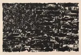Jasper Johns, Flag I (U.L.A.E. 4)