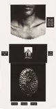 Lorna Simpson, Counting