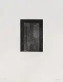 Brice Marden, 12 Views for Caroline Tatyana: one plate (L. 29h), 1977-79, Etching and aquatint, on Arches paper, with full margins