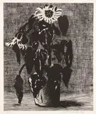 David Hockney, Sunflower I (M.C.A.T. 347), 1995, Etching and aquatint, on Arches watercolor paper, with full margins
