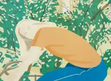 Alex Katz, Bicycle Rider, from New York: Eight Contemporary Artist's Celebrate Their City (S. 154)