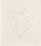 Wild Grape Leaf (T.G. 332, A. 191) by Ellsworth Kelly, 1979-80, Lithograph, on Arches Cover paper, with full margins, sold Apr 2021