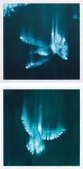Falling Birds 1; and 3 by Ross Bleckner, 2002, Two digital inkjet prints with hand applied white paint, sold Apr 2021
