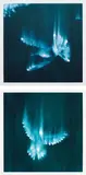 Ross Bleckner, Falling Birds 1; and 3, 2002, Two digital inkjet prints with hand applied white paint