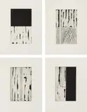 Günther Förg, Carnegie, 1989, The complete set of 16 etchings and drypoint, on Lana Gravure paper, with full margins, bound (as issued), all contained in the original mustard colored, cloth covered slipcase