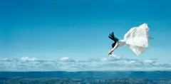 Flight Research #6 by Rosemary Laing, 1999, Chromogenic print, sold Apr 2021