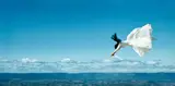 Rosemary Laing, Flight Research #6, 1999, Chromogenic print