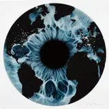 Marc Quinn, A Map of Where You Can't See the Stars, Atlantic View, 2019, Screenprint with diamond dust, on wove paper, with full margins