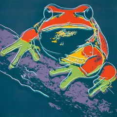 Pine Barrens Tree Frog, from Endangered Species (F & S. 294) by Andy Warhol, 1983, Screenprint in colors, on Lenox Museum Board, the full sheet, sold Oct 2021